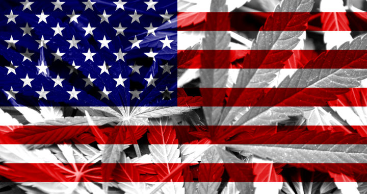 marijuana reform
