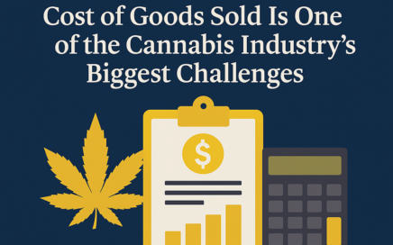 Adilas Cannabis accounting software