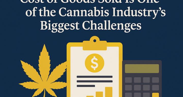 Adilas Cannabis accounting software
